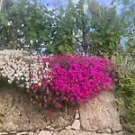 Quinta Do Sonho Сasa de vacaciones *