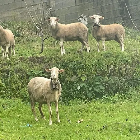 Quinta Do Sonho Hébergement de vacances