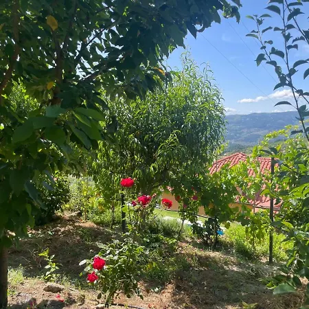 Quinta Do Sonho Holiday home *