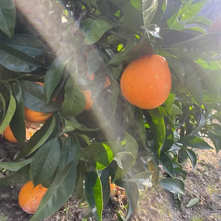Hébergement de vacances Quinta Do Sonho *