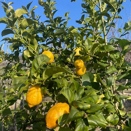 Hébergement de vacances Quinta Do Sonho Resende