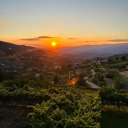 Ferienhaus Quinta Do Sonho Resende