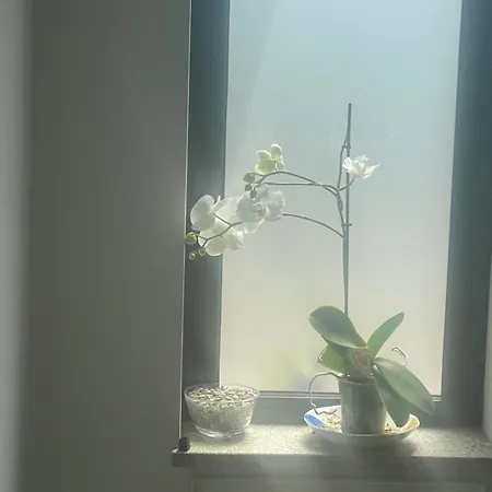 Quinta Do Sonho Prázdninový dům