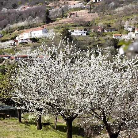 Hébergement de vacances Quinta Do Sonho *