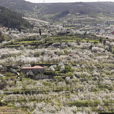 Quinta Do Sonho