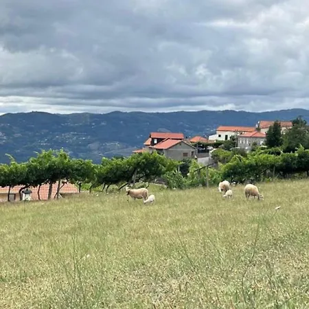 Holiday home Quinta Do Sonho *