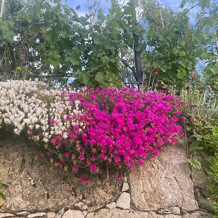 Quinta Do Sonho Hébergement de vacances *