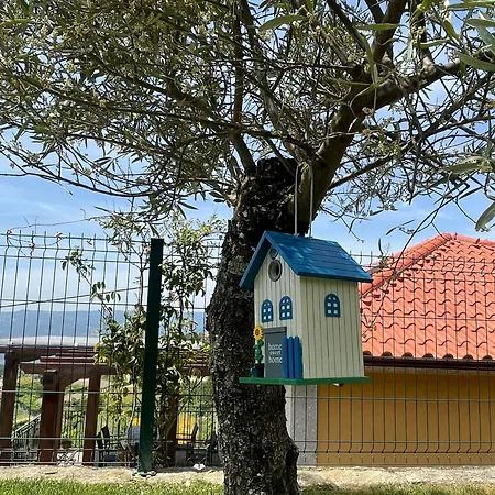 Quinta Do Sonho *