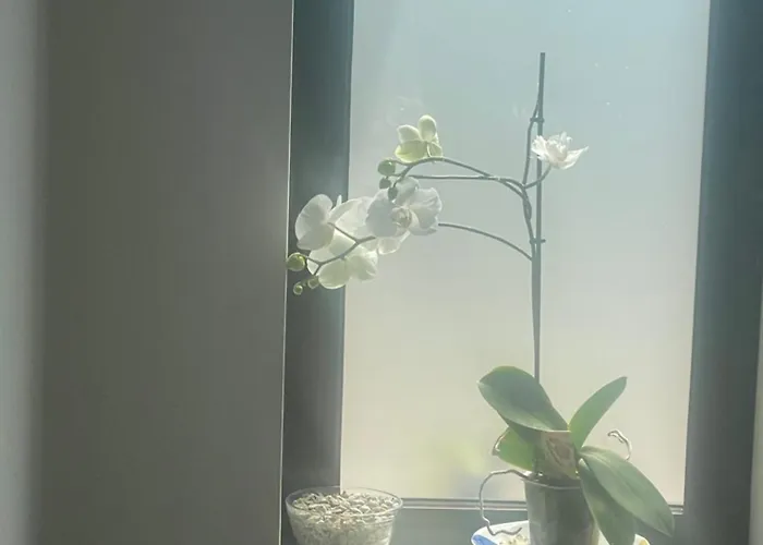 Quinta Do Sonho Casa de Férias