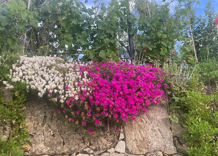 Quinta Do Sonho Casa vacanze *