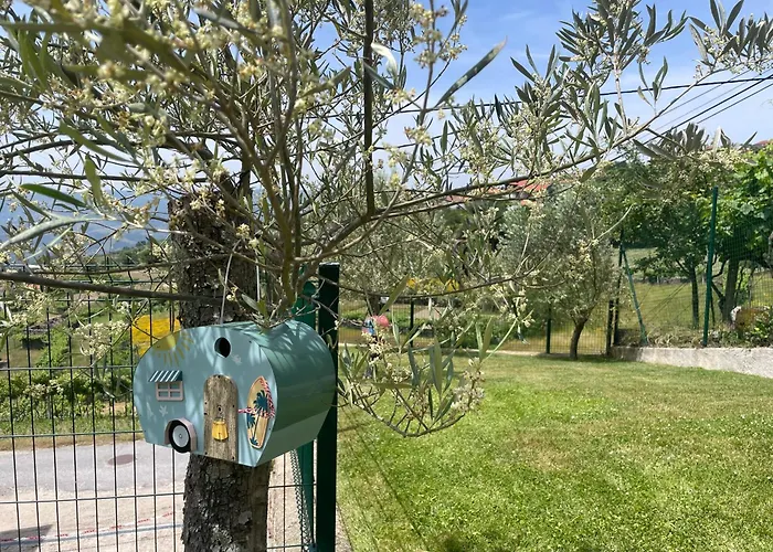 Дом отдыха Quinta Do Sonho Резенде